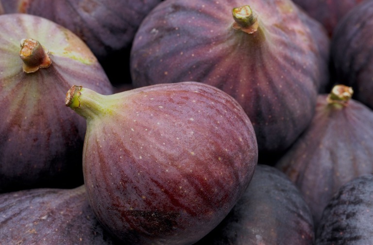 Fig Fresh